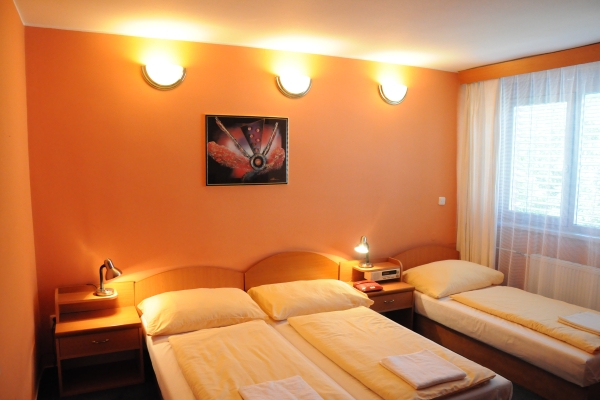 Hotel Panon